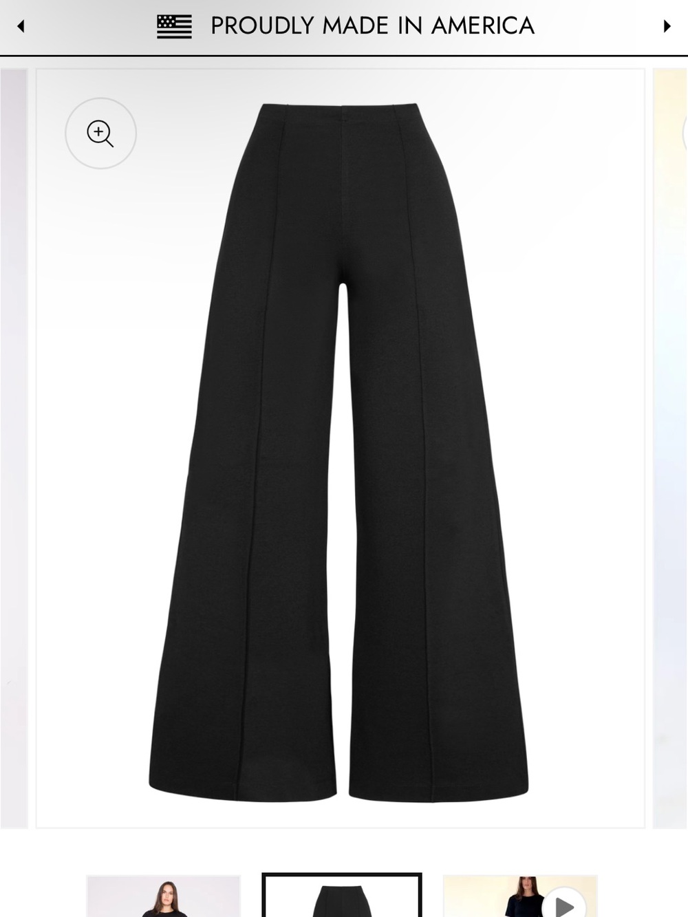 High-Rise Wide Leg Pants in Black